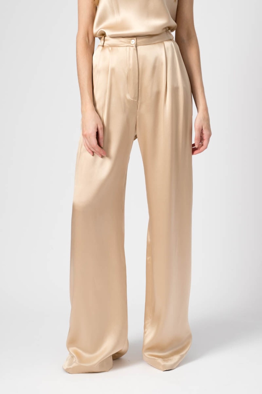 SABLYN Vera Pleated Silk Pant In Fawn | Sablyn - T. Boutique | Bottoms